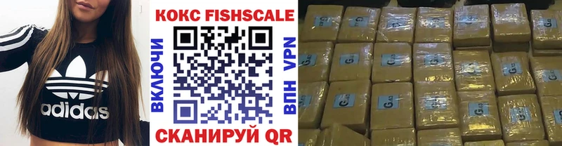 Купить  Новохопёрск  Кокаин Fish Scale 