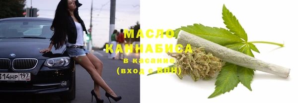 мдпв Верхний Тагил