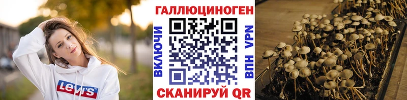 Купить закладки  Новохопёрск  Галлюциногенные грибы ЛСД 