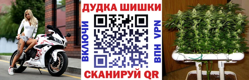 Бошки Шишки Amnesia  Купить закладки  Новохопёрск 